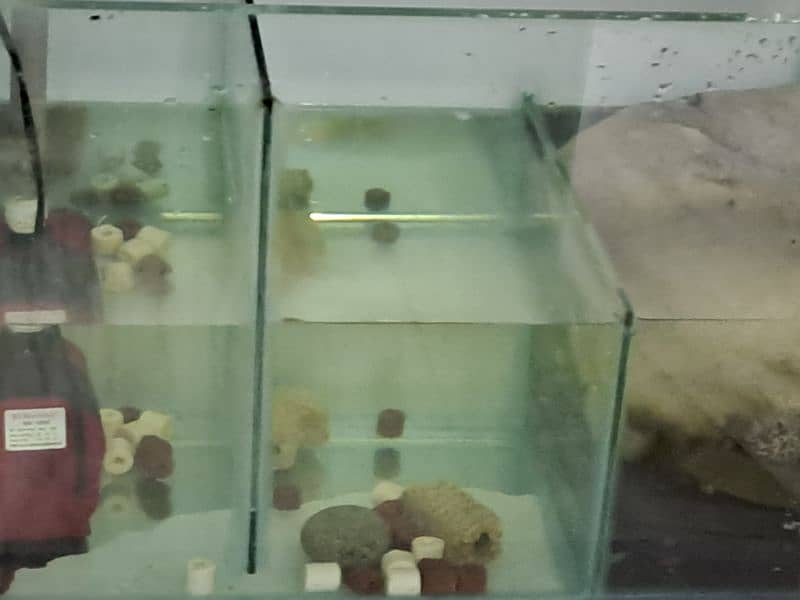 4ftx1.5ftx2ftx12mm clear white glass  live plant aquarium + sum system 4