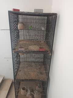 parrot big size cage ( 2 x 2) feet