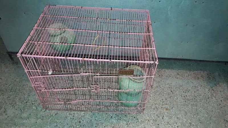 2 porshan parrot braiding cage 2