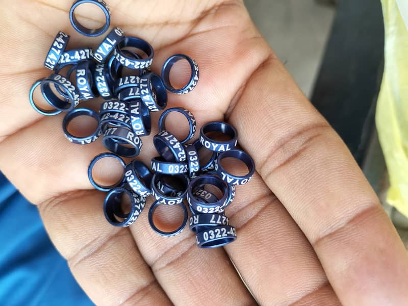 Pegion silicon jora number Phone number Whatsapp 0317 4203683 1