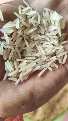 Sella Rice vip 0