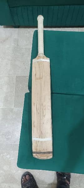 hard Ball cricket bat English willow 4