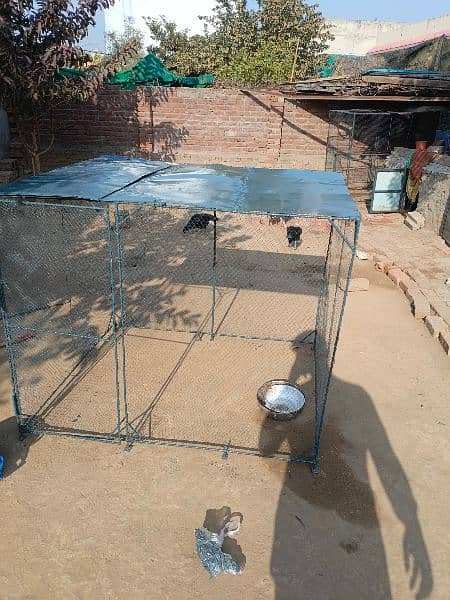 hens cage for sale 3