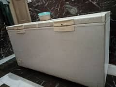 Freezers For sale New Condition main Available Hain 0