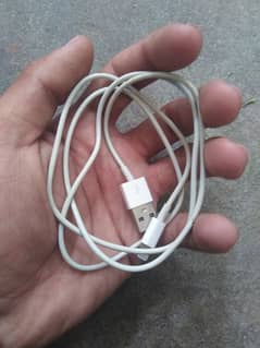 Apple Cable 0