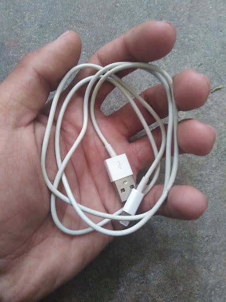Apple Cable 0