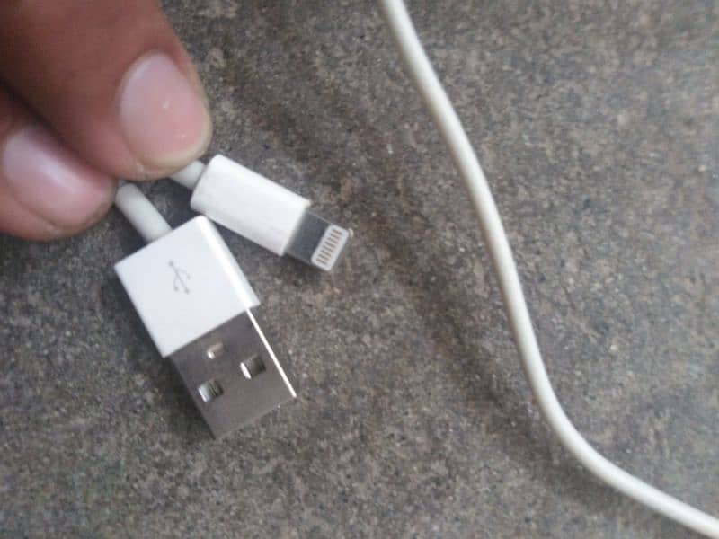 Apple Cable 1