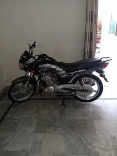 Suzuki 2024 110 olx