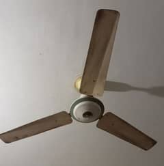 well condition ceiling fans 2peace