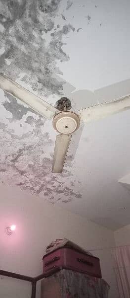 well condition ceiling fans 2peace 1