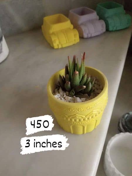 concrete pots with plants 7