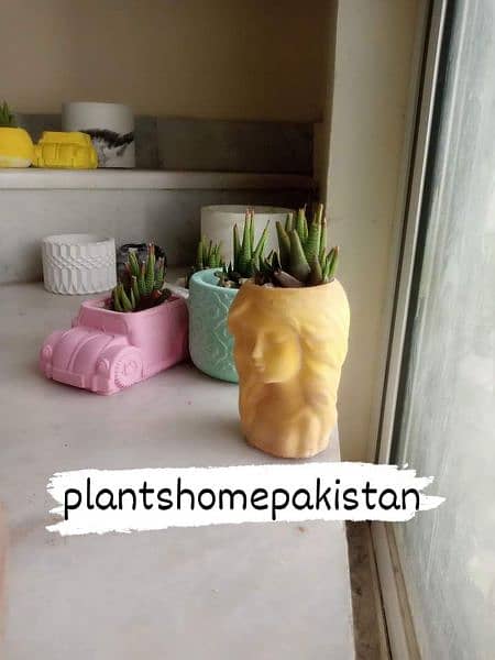 concrete pots with plants 14