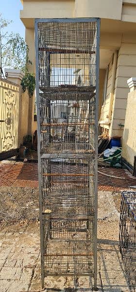 Bird Cages 1
