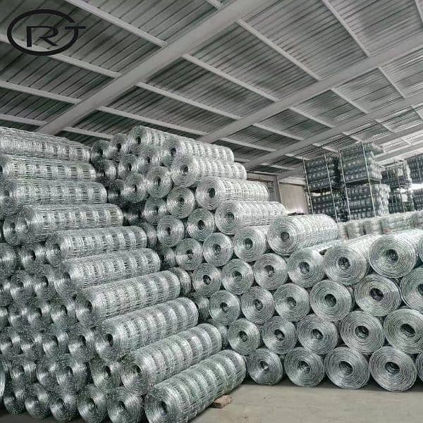 Razor wire & Mesh on Factory Price - Chain Link - Galvanized For Sale 4