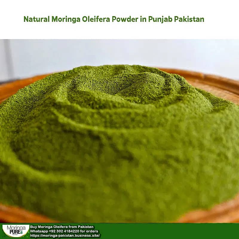 Moringa Powder Pakistan (Best Sale 2024): Fresh Moringa Oleifera 2