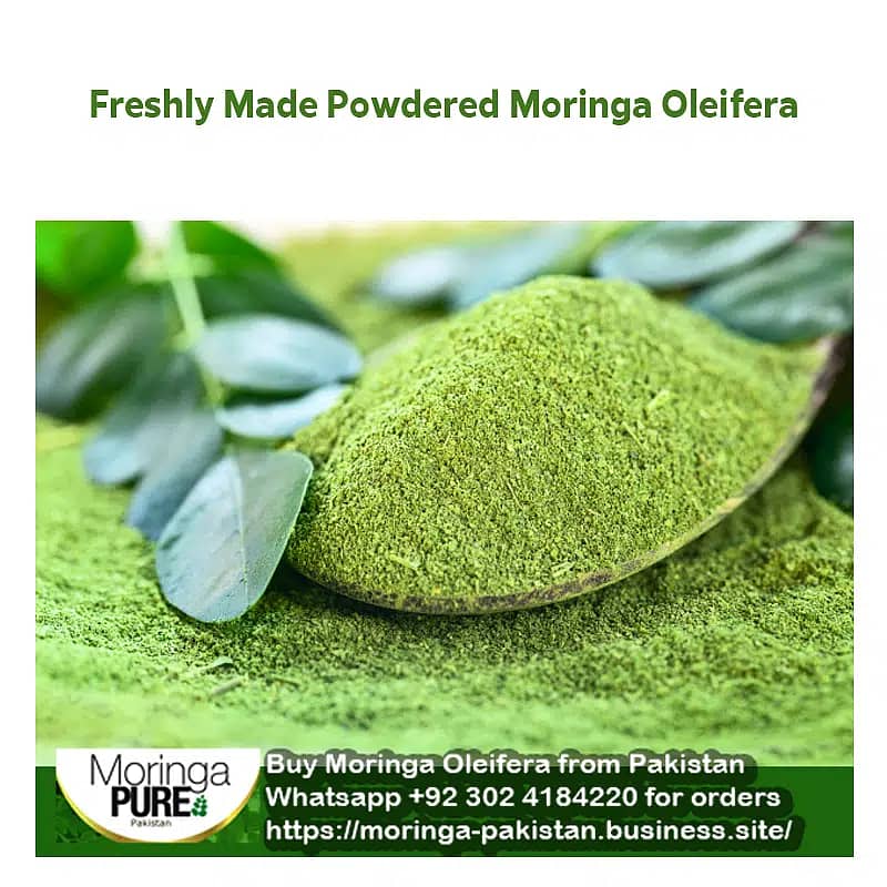 Moringa Powder Pakistan (Best Sale 2024): Fresh Moringa Oleifera 3