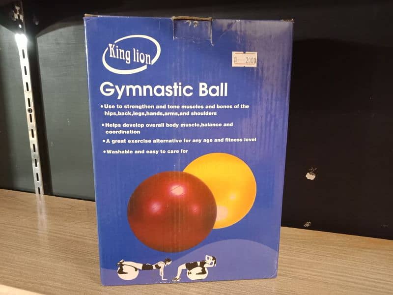 Gym Ball | Exercise ball 0