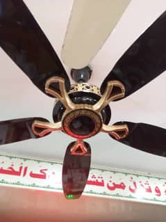 Sufi fans Copper Available In exchange offer