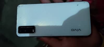 vivo