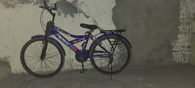 bicycle for 15 to 16 years 0