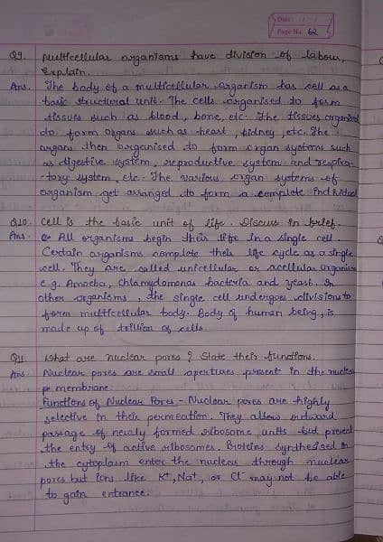 online assignment work 3