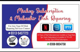 all dish services