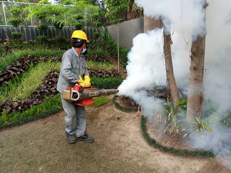 Pest control services & Termite Treatment Fumigation all types insects 2