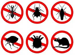 Termite Control, Fumigation Spray, Deemak Control, Pest Control 8
