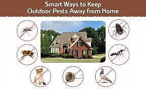 Termite Control | Fumigation Spray | Deemak Control | Pest Control Ser 1