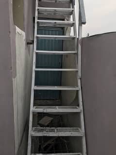 Iron Ladder 12.5 feet