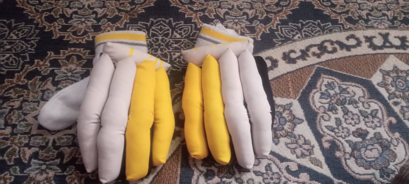 Cricket pad & gloves with bag 5