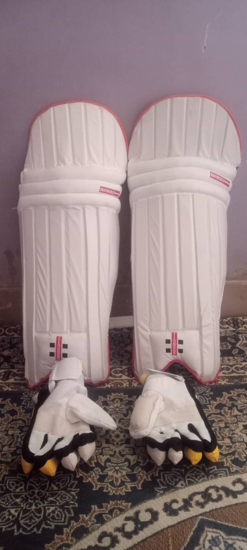 Cricket pad & gloves with bag 6