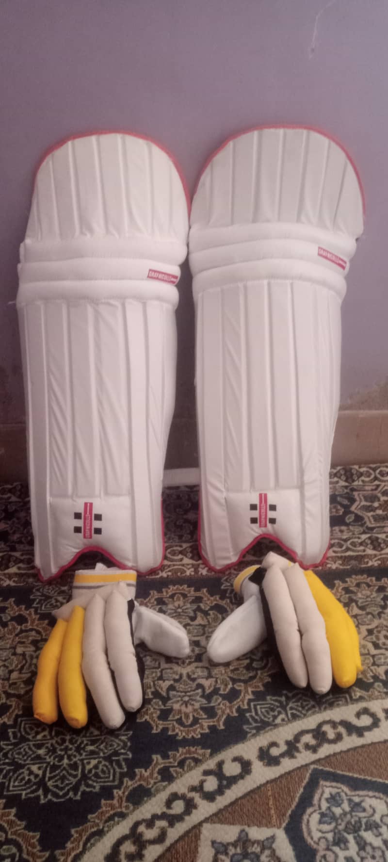 Cricket pad & gloves with bag 7
