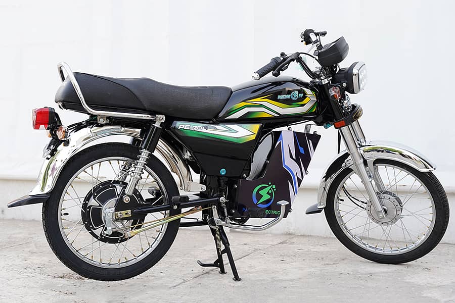 Pakzon Electric Bike PE-70 Lithium Iron Phosphate Battery 1
