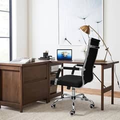 High Life Imported Office Chairs Executive chairs 0