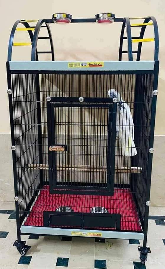 Cage, Birds cages,Box factory Available 2