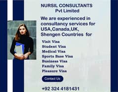 USA (American) visit visa like B-1,B-2,H-3,P-1,P-2,P-3