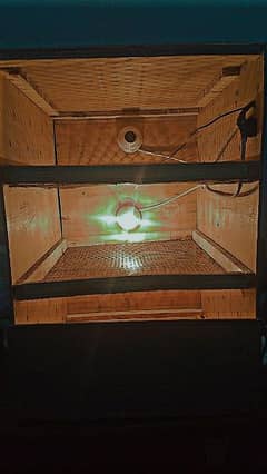 manual incubator for + 180 eggs