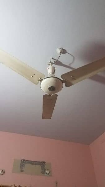 Different Roof Fan And Wall Fan 1