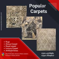 carpet / rug / turkish carpet / living room carpet