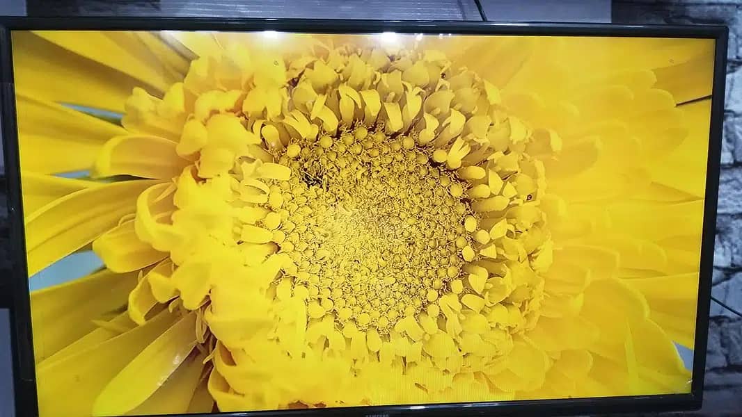 43 inch 4k Android Smart Led TV 2