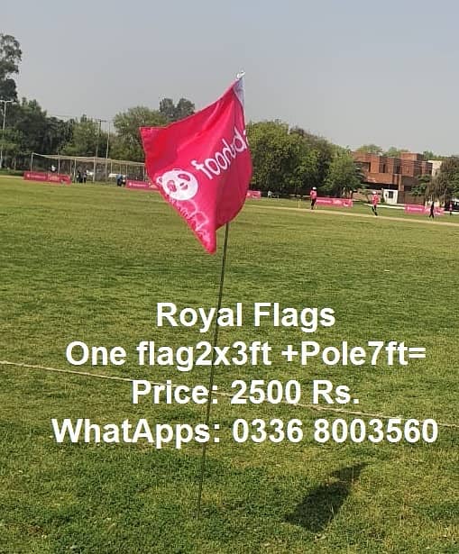 Table Flag , Outdoor Company Flag , & Indoor Flag & Pole for Exective 13
