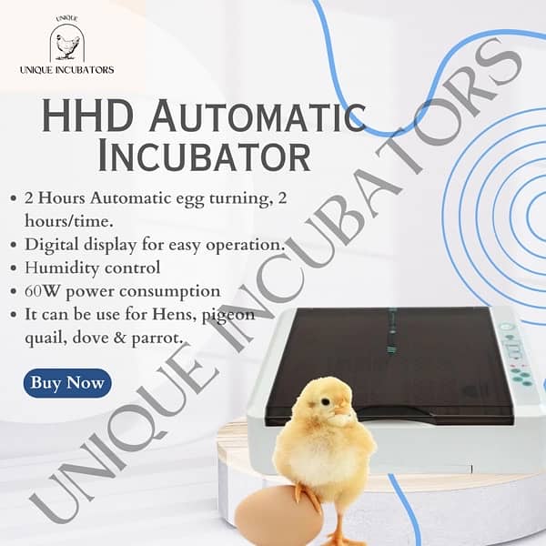 Imported eggs incubator/ Automatic incubators / Incubators for sale 11