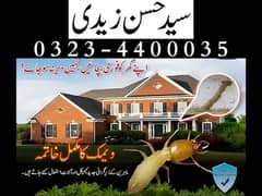 Pest control Services & Termite Treatment in Lahore