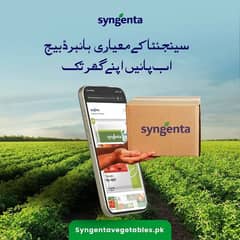Syngenta Hybrid Seeds F1