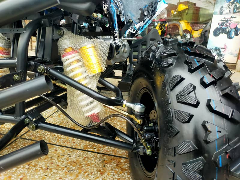 Brand New Raptor 250cc Auto Engine Atv Quad Bikes Deliver In Al Pak 5