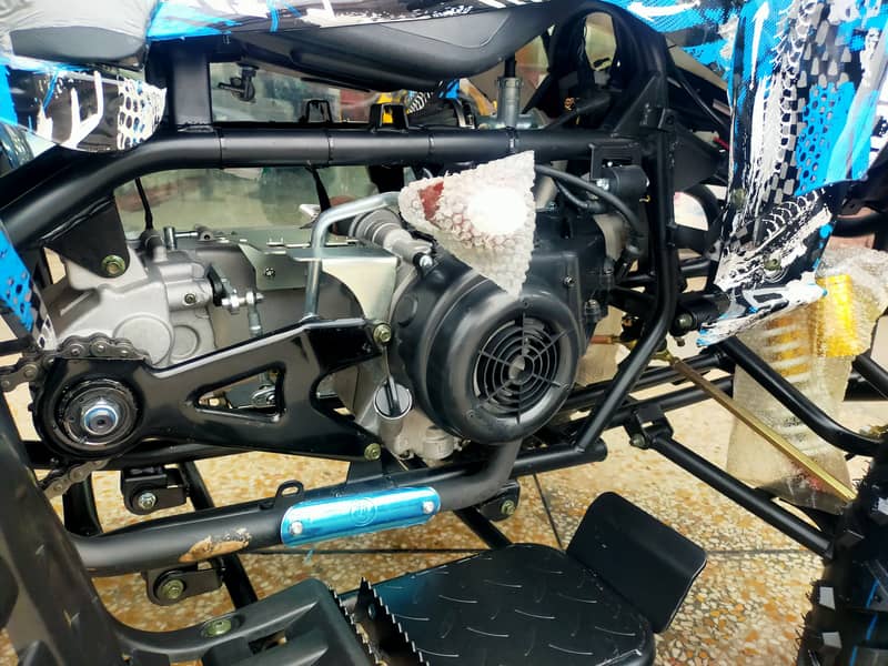 Brand New Raptor 250cc Auto Engine Atv Quad Bikes Deliver In Al Pak 9
