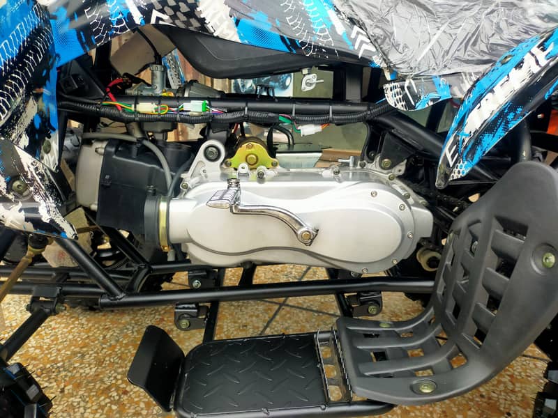 Brand New Raptor 250cc Auto Engine Atv Quad Bikes Deliver In Al Pak 10