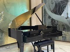 Grand Piano / upright piano / Antique Piano / Keyboards