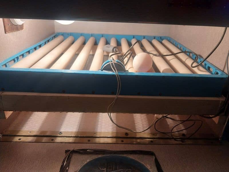 egg incubator(read add 1st please) 10